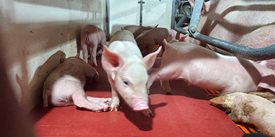 車輛洗消中心設(shè)計(jì)要求（規(guī)劃要求）？